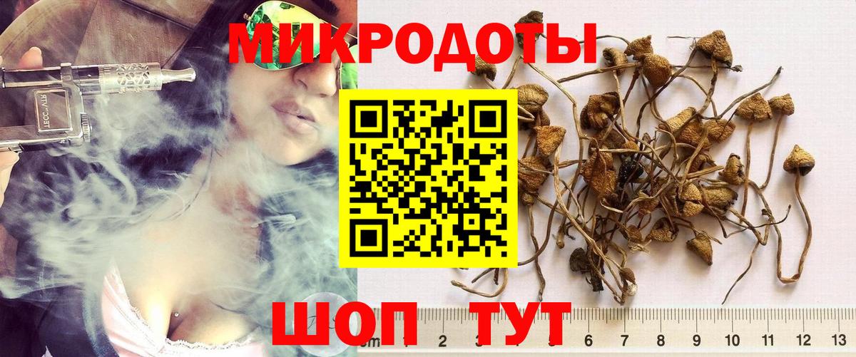 Псилоцибиновые грибы MAGIC MUSHROOMS  Вход с VPN  Верхняя Салда 